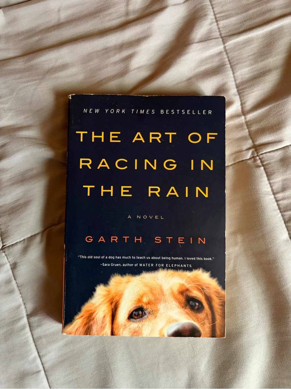 The Art of Racing in the Rain by Garth Stein